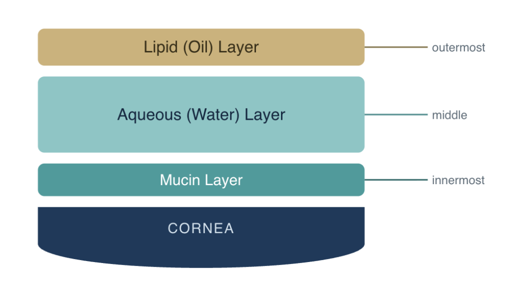Dry Eye Diagram